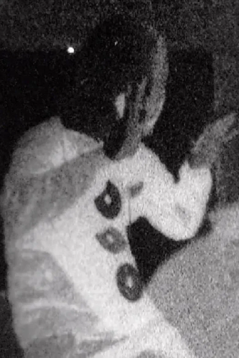 Blanquiados poster background