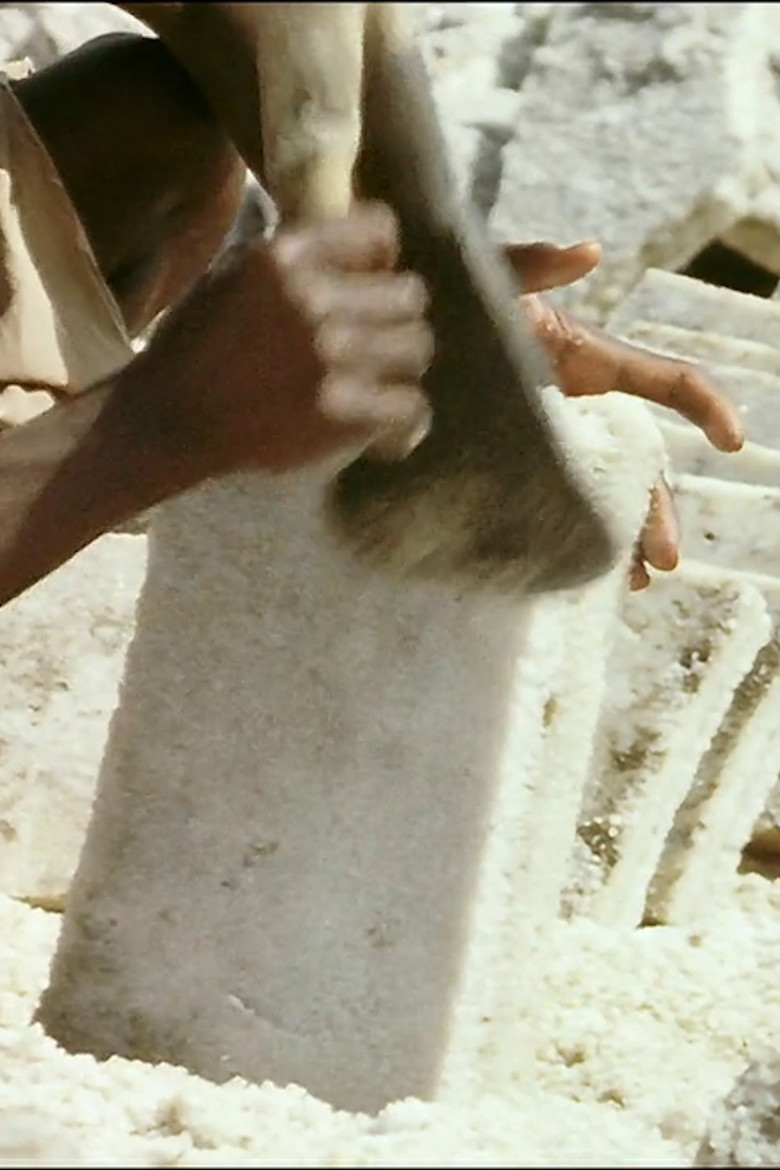 Salt poster background