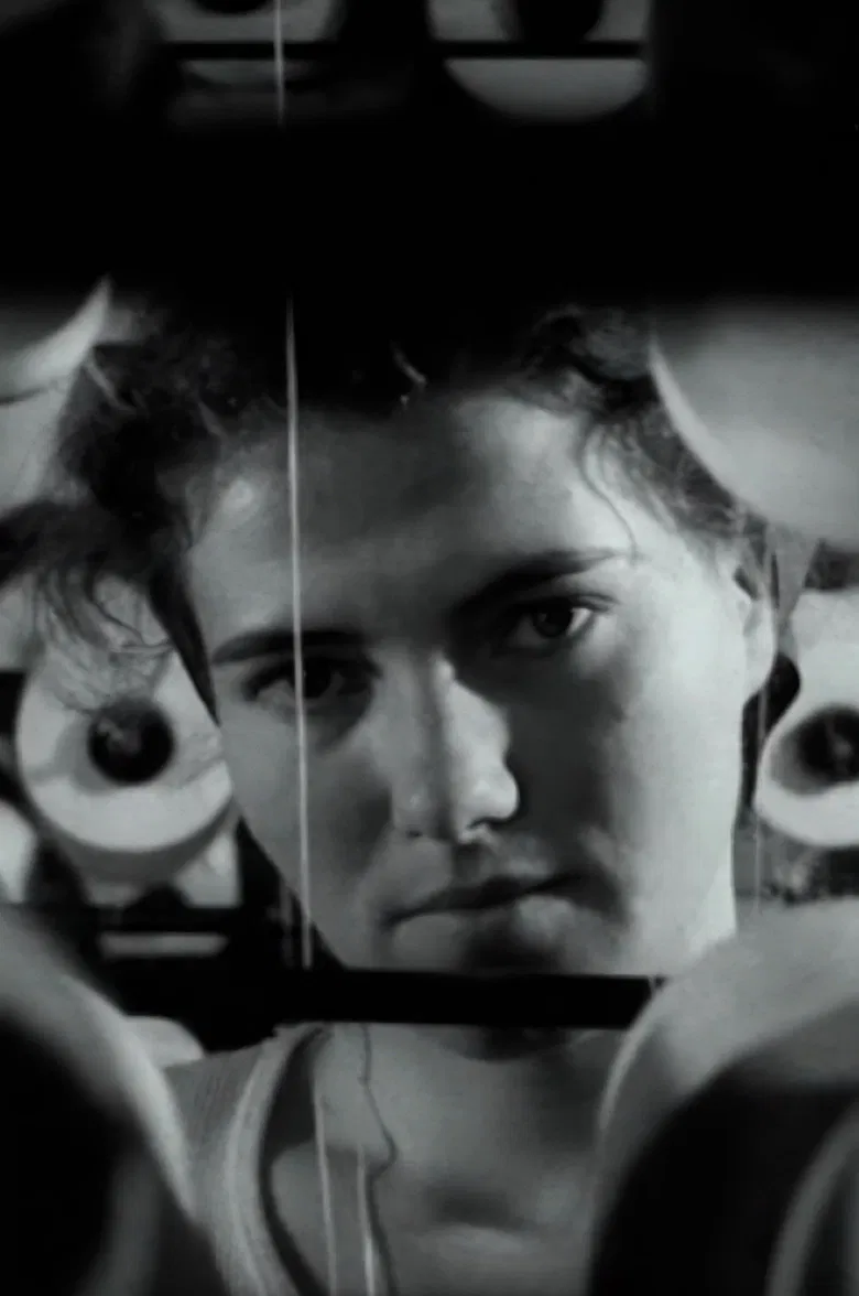 The Diary of Florica S. poster background