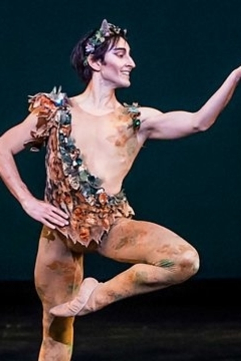 Royal Ballet All-Star Gala poster background