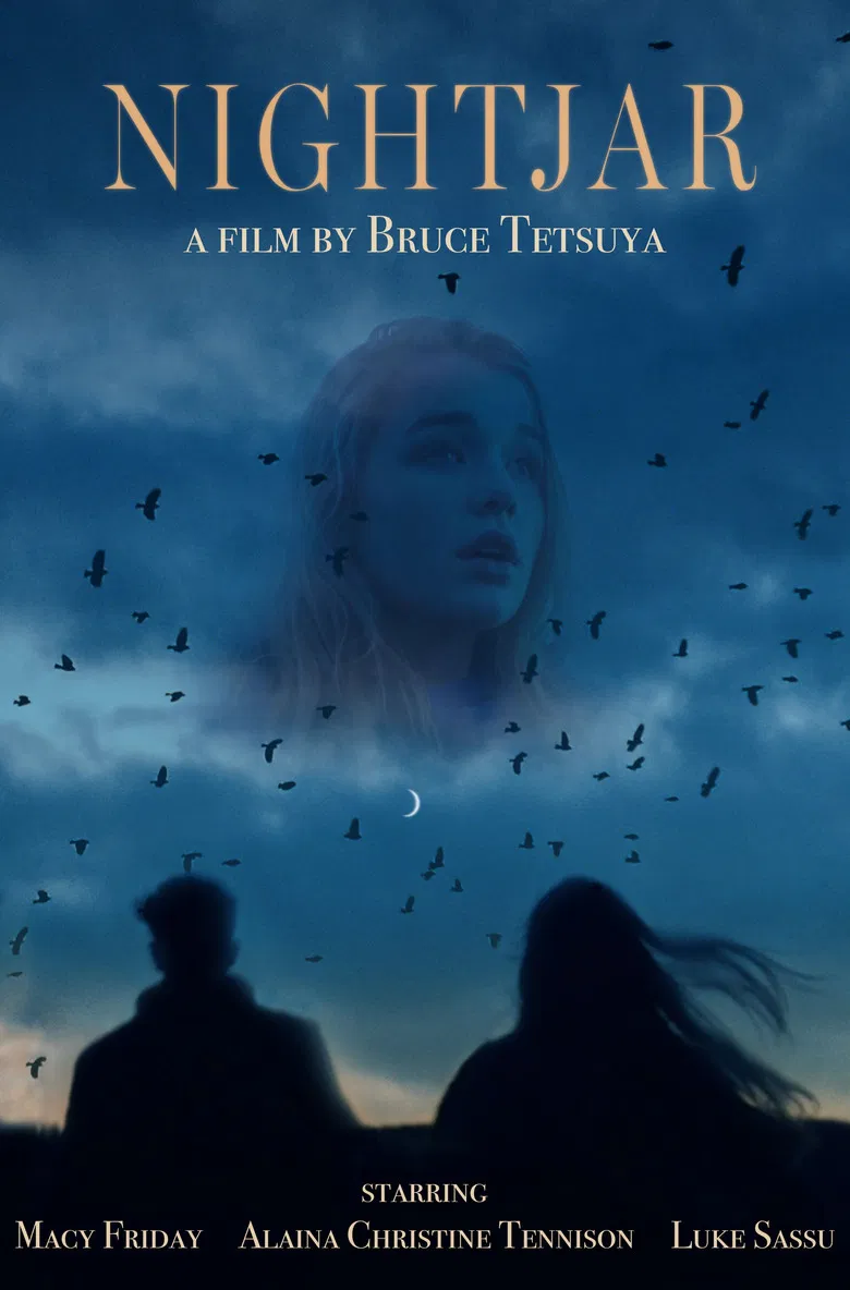 Nightjar poster background