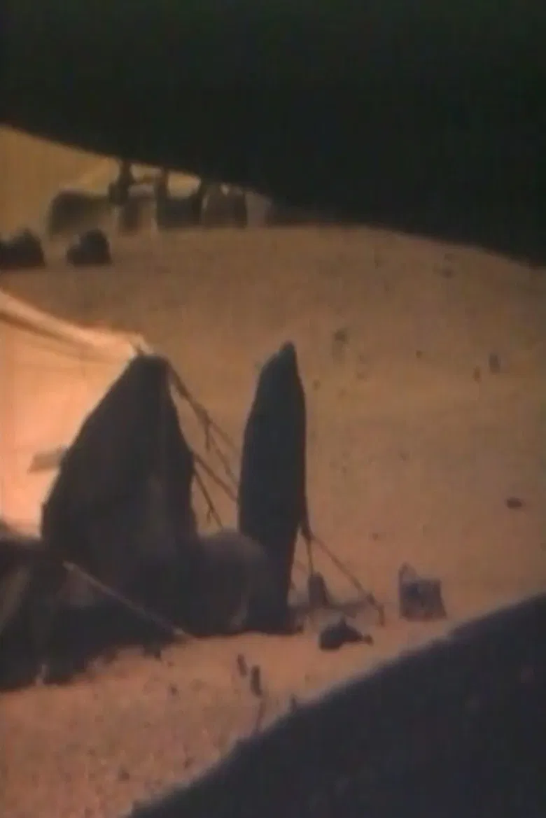 The Sahara is not for sale poster background