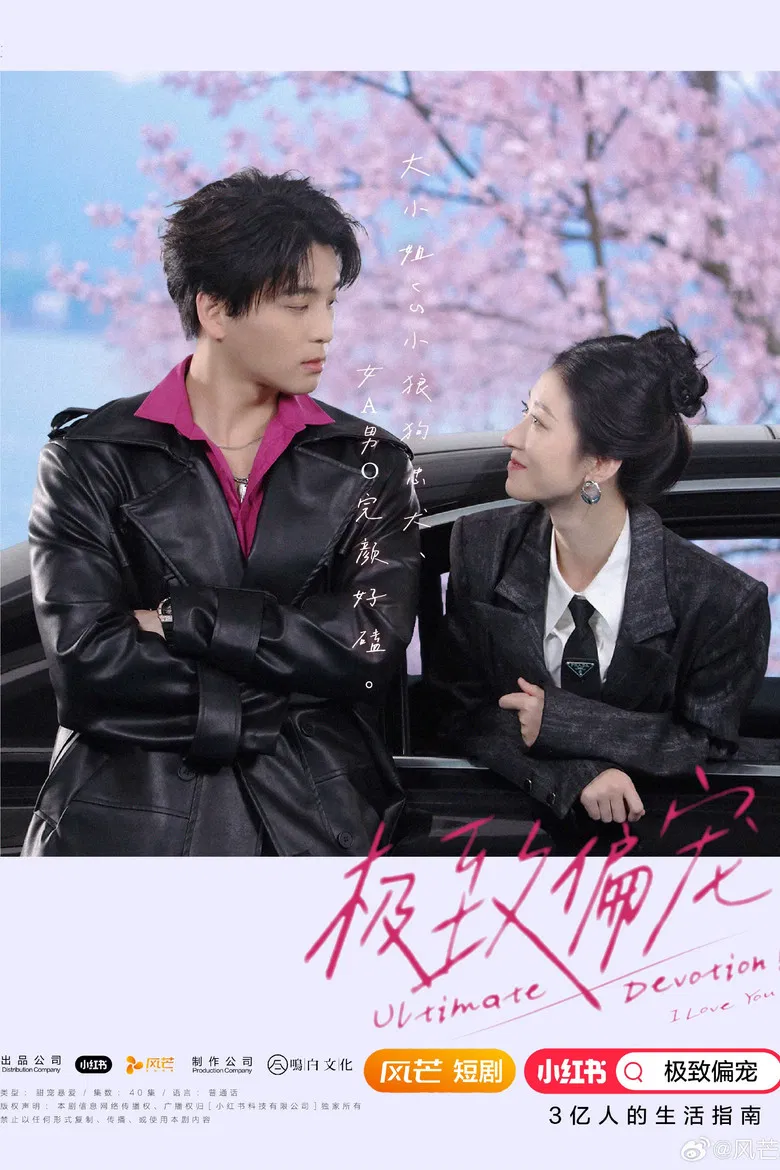 Ultimate Devotion poster background