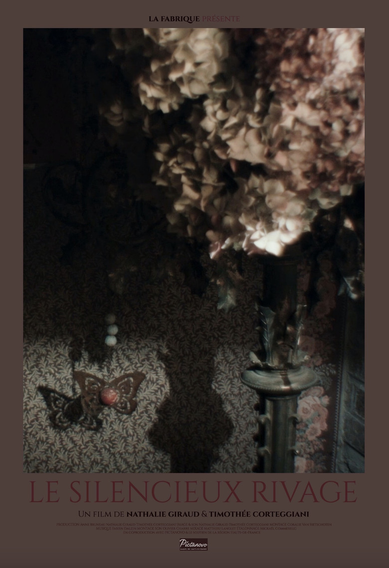 The Silent Shore poster background