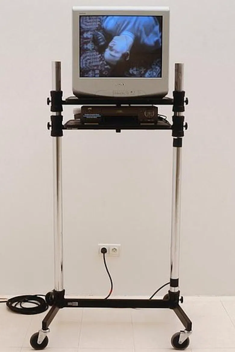 Douglas Gordon sings the best of Lou Reed & The Velvet Underground (For Bas Jan Ader) poster background