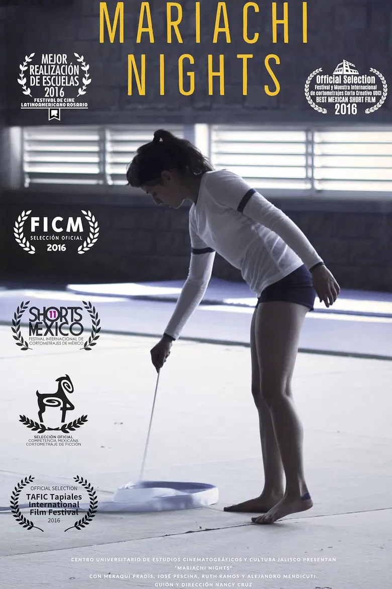 Mariachi Nights poster background