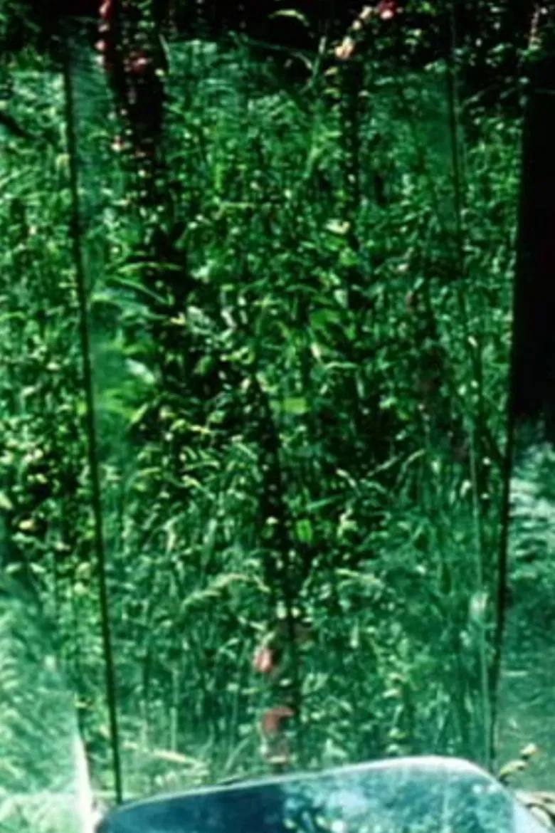 Peripeteia II poster background