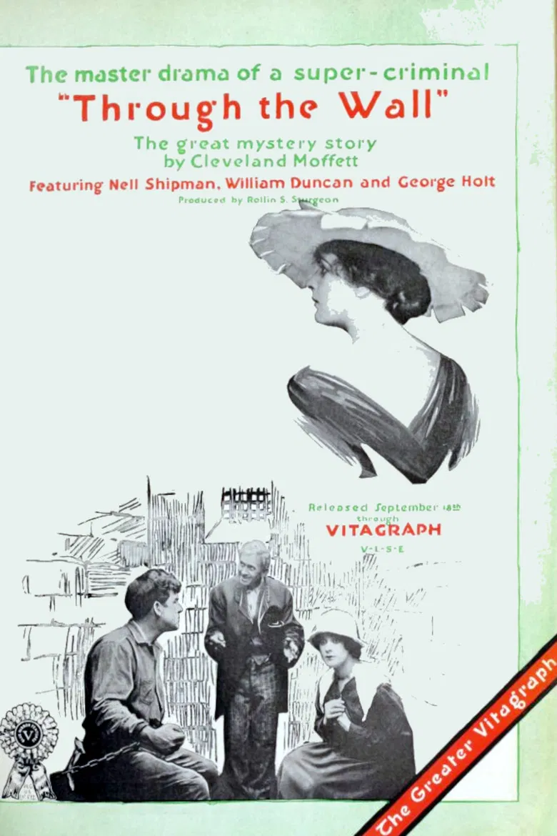 Through the Wall poster background