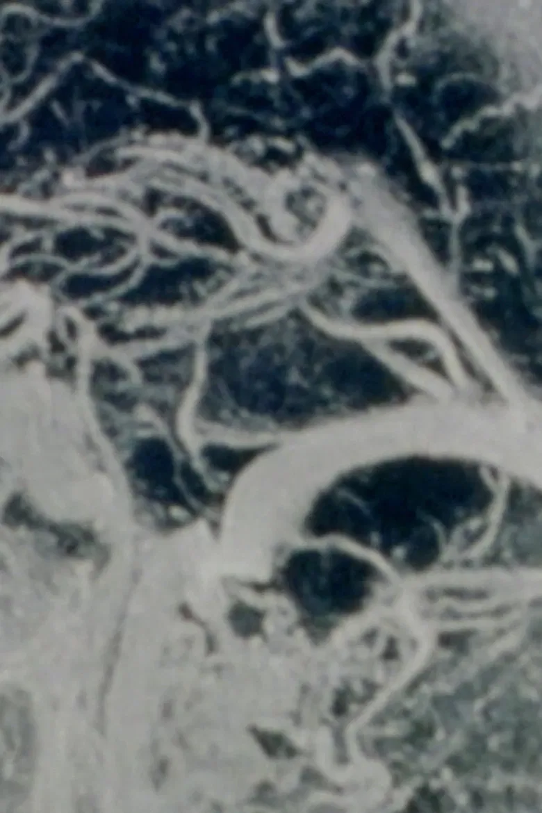 Histories of Simulated Intimacy poster background