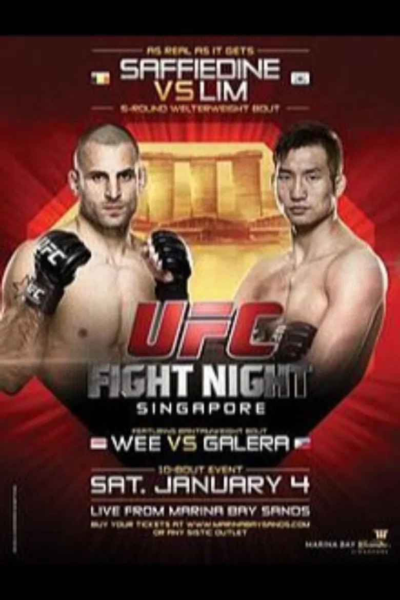 UFC Fight Night 34: Saffiedine vs. Lim poster background