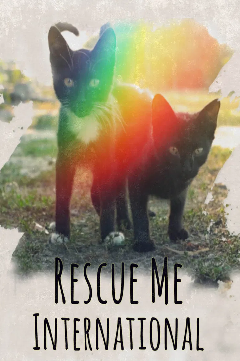 Rescue Me: International poster background