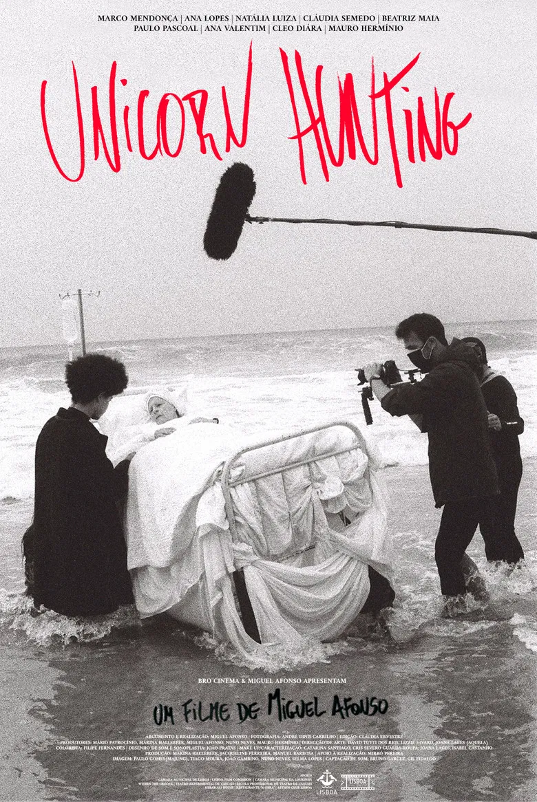 Unicorn Hunting poster background