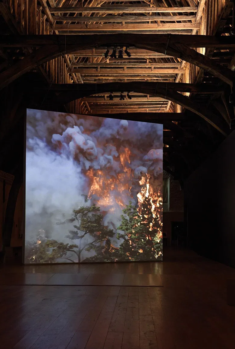 Wildfire poster background