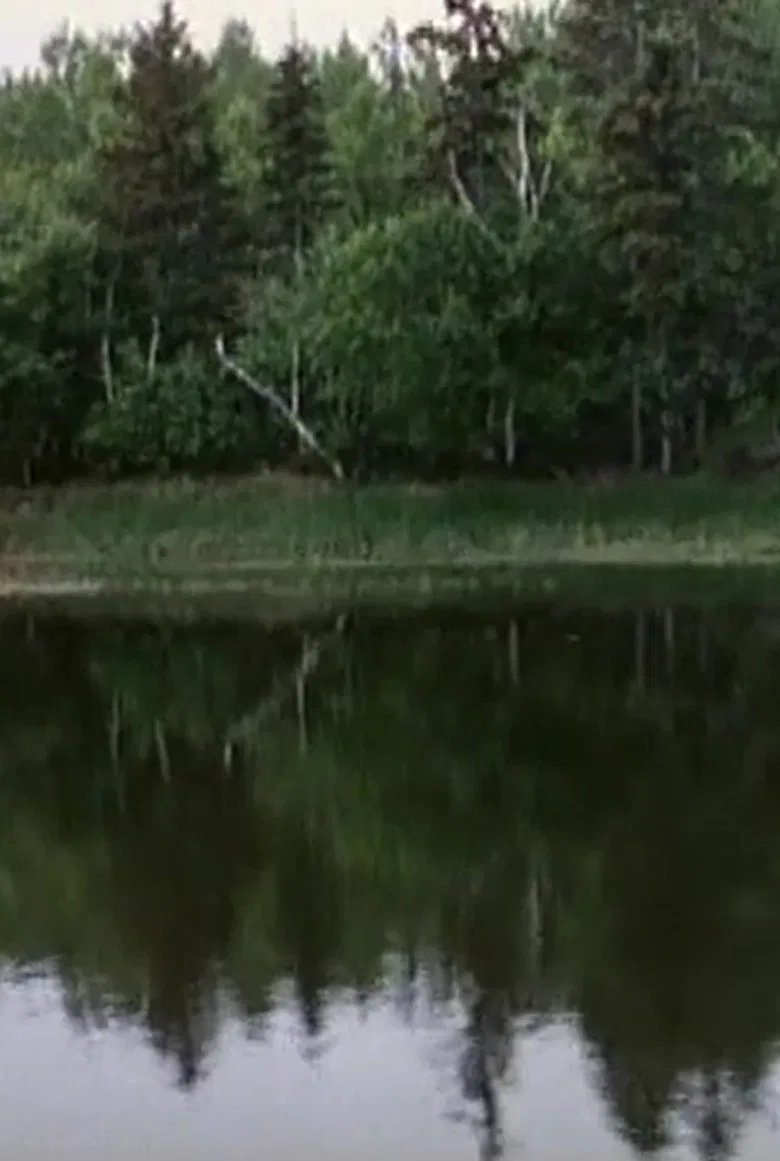 La voix des rivières poster background