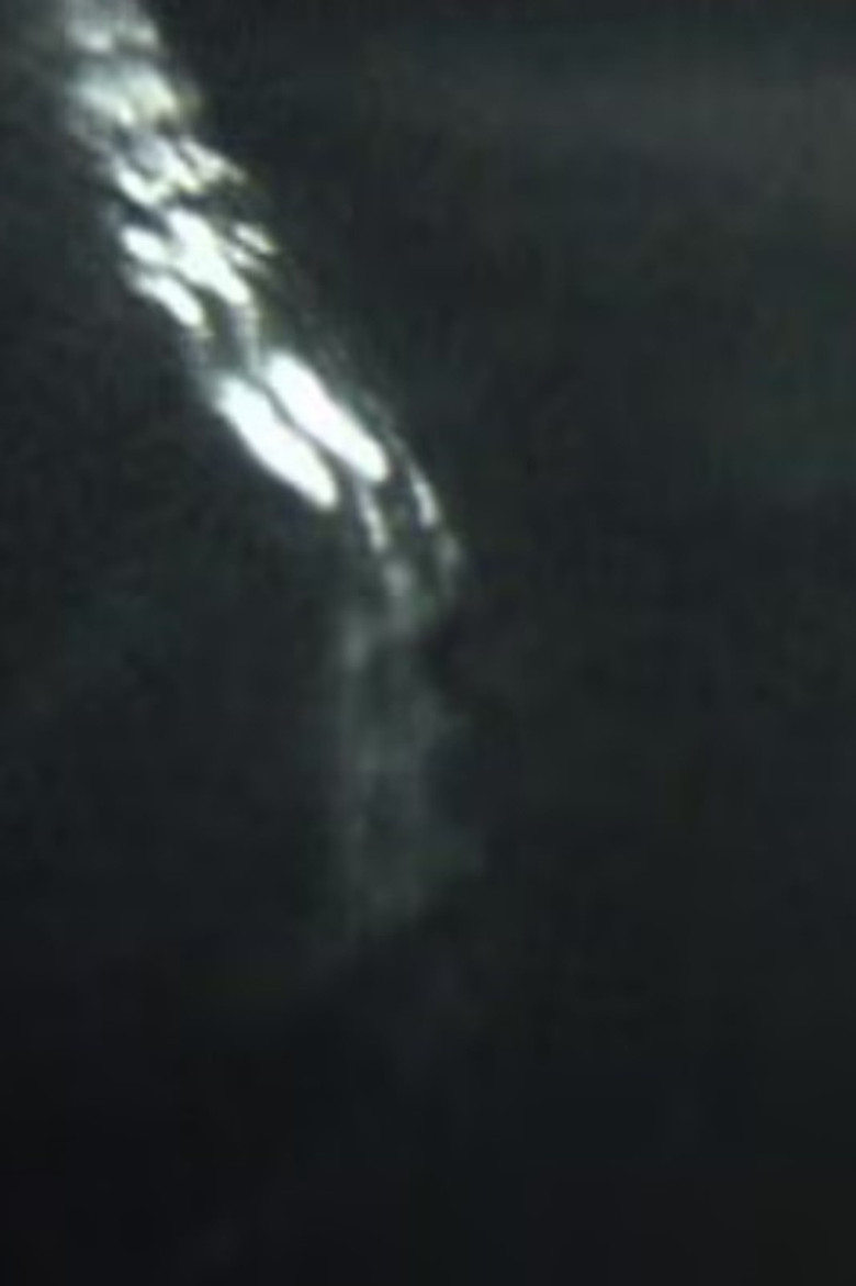 what she would not leave behind. poster background