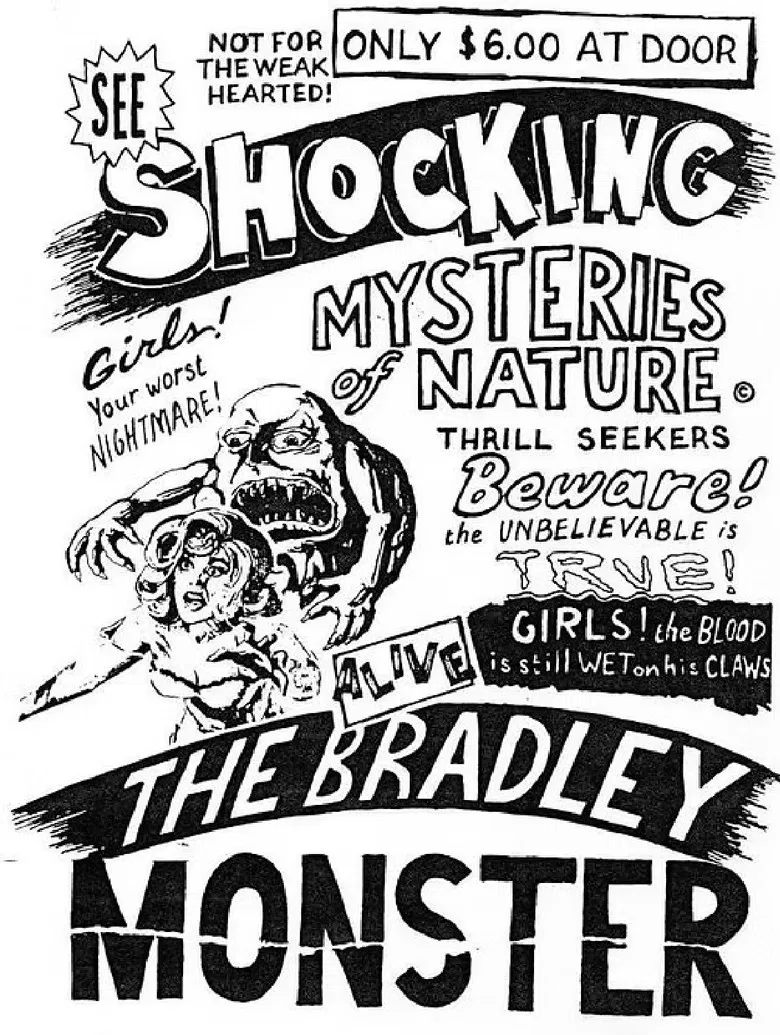 Basket Case 3-1/2: An Interview With Duane Bradley poster background