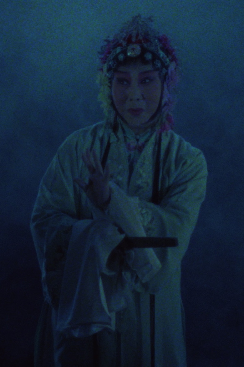 The Peony Pavilion poster background