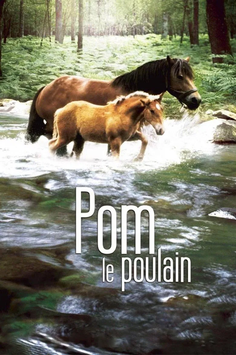 Pom, le poulain poster background