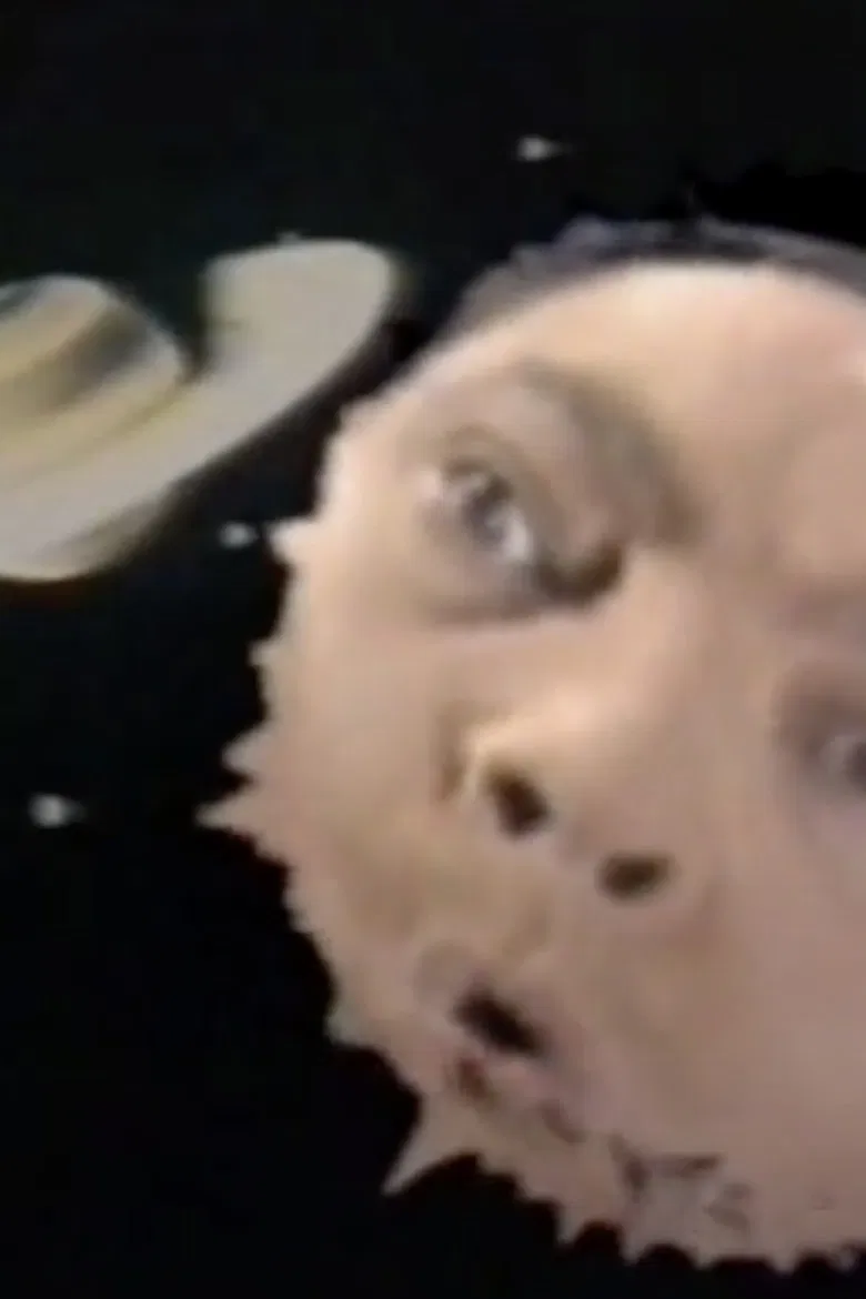 La vie courte et pathétique de Goulaf Boulimik poster background