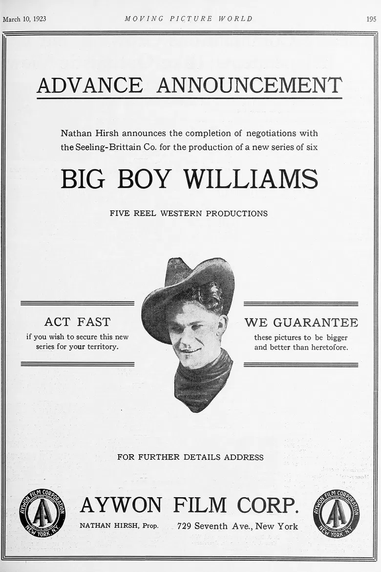 The Avenger poster background