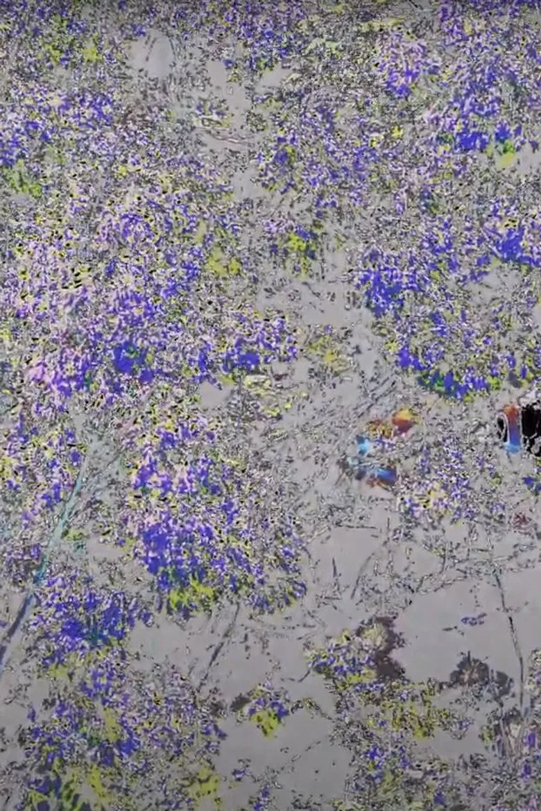 Lisbon Views poster background