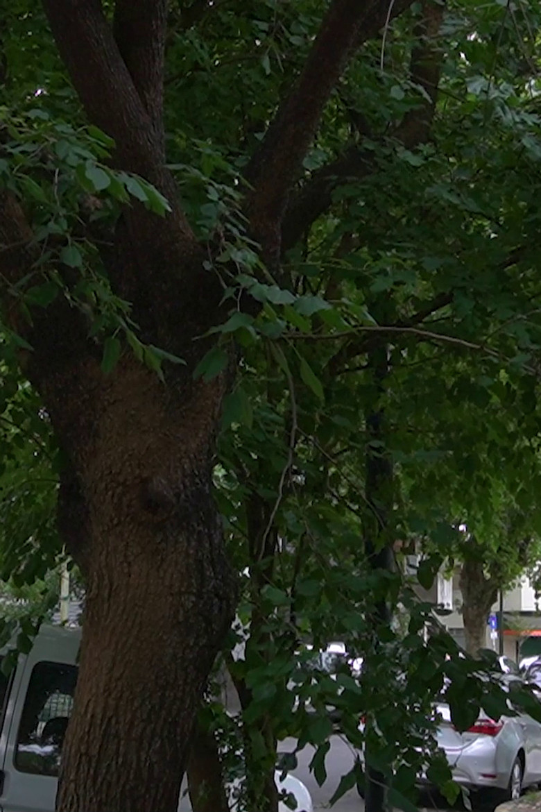 The Little Details Of Life poster background