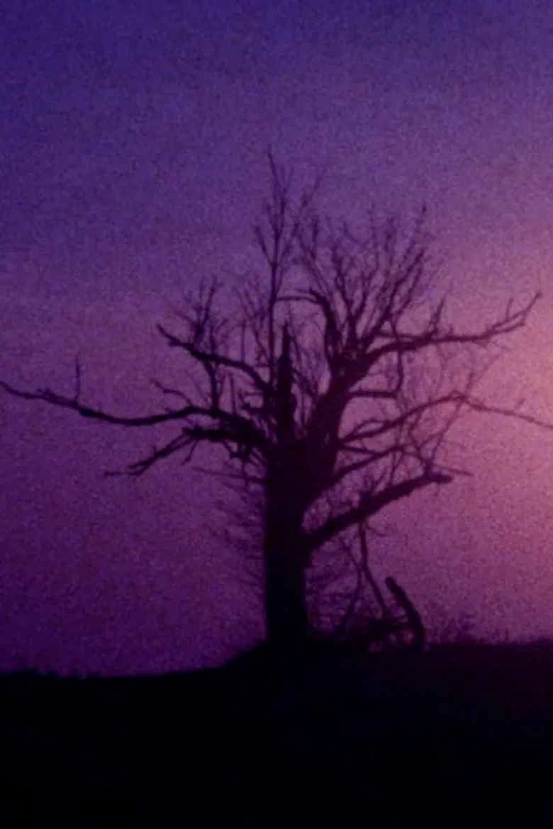 Fainter Echoes poster background