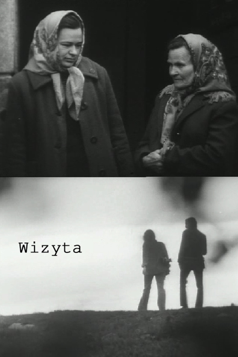 The Visit poster background