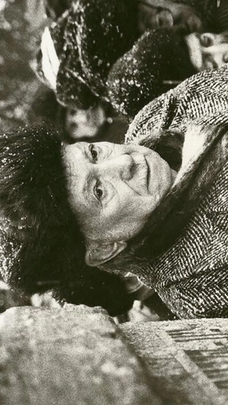 The Jewish Street poster background