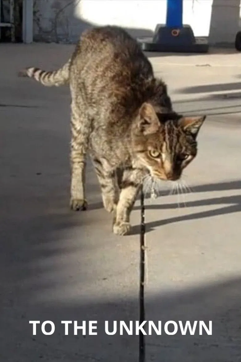 To the Unknown poster background