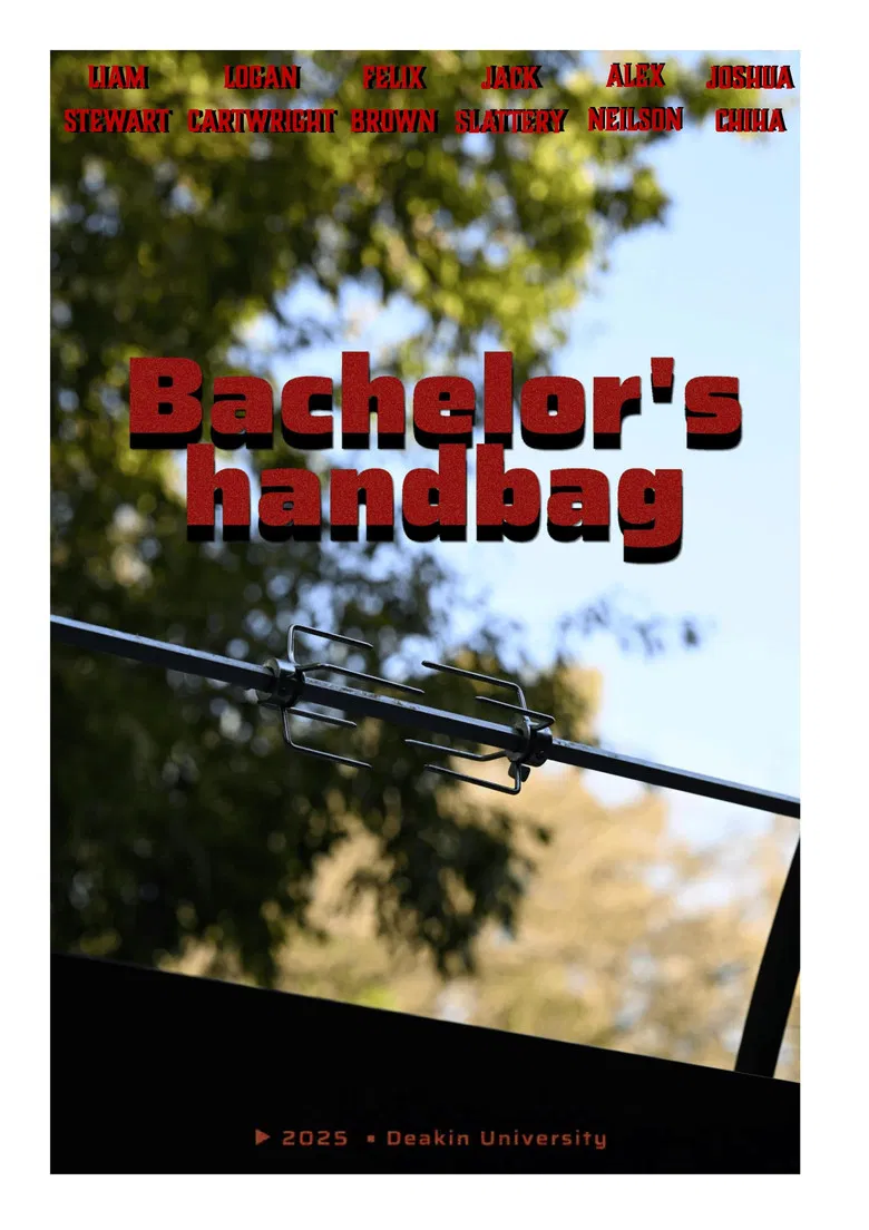 Bachelors Handbag poster background