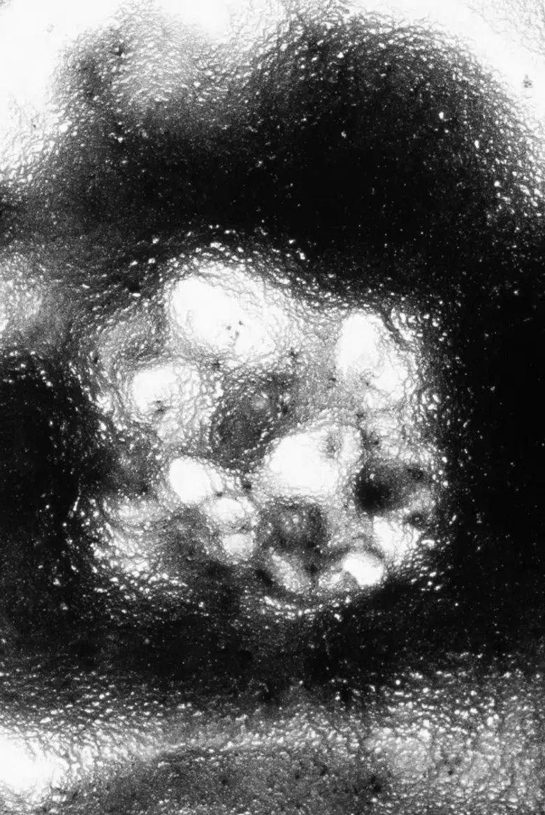 Señales de humo poster background