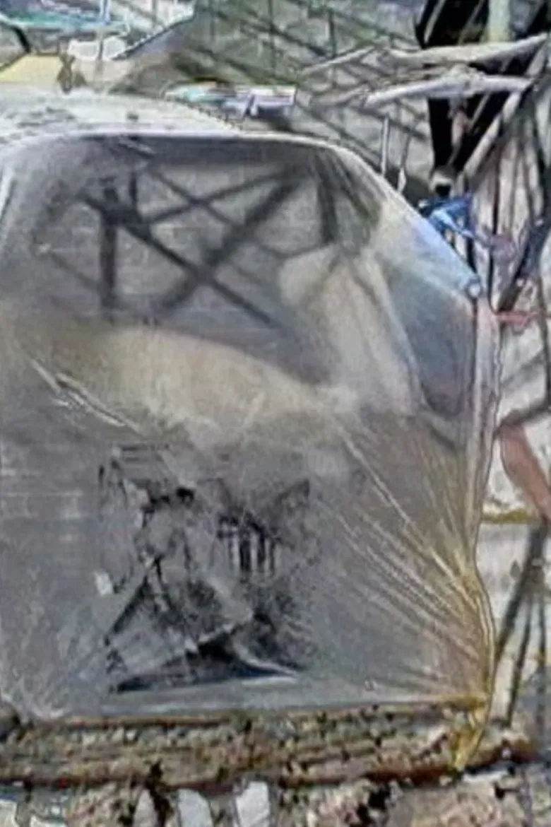 Dream Travel poster background