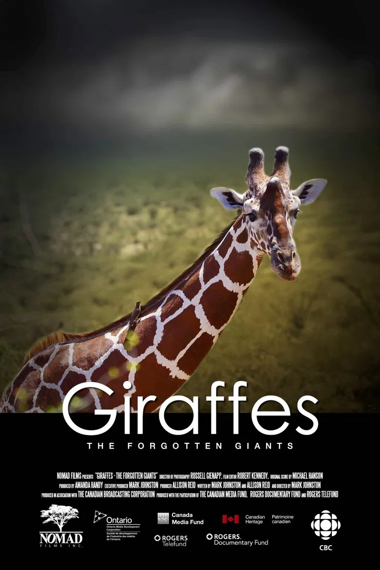 Giraffes: The Forgotten Giants poster background