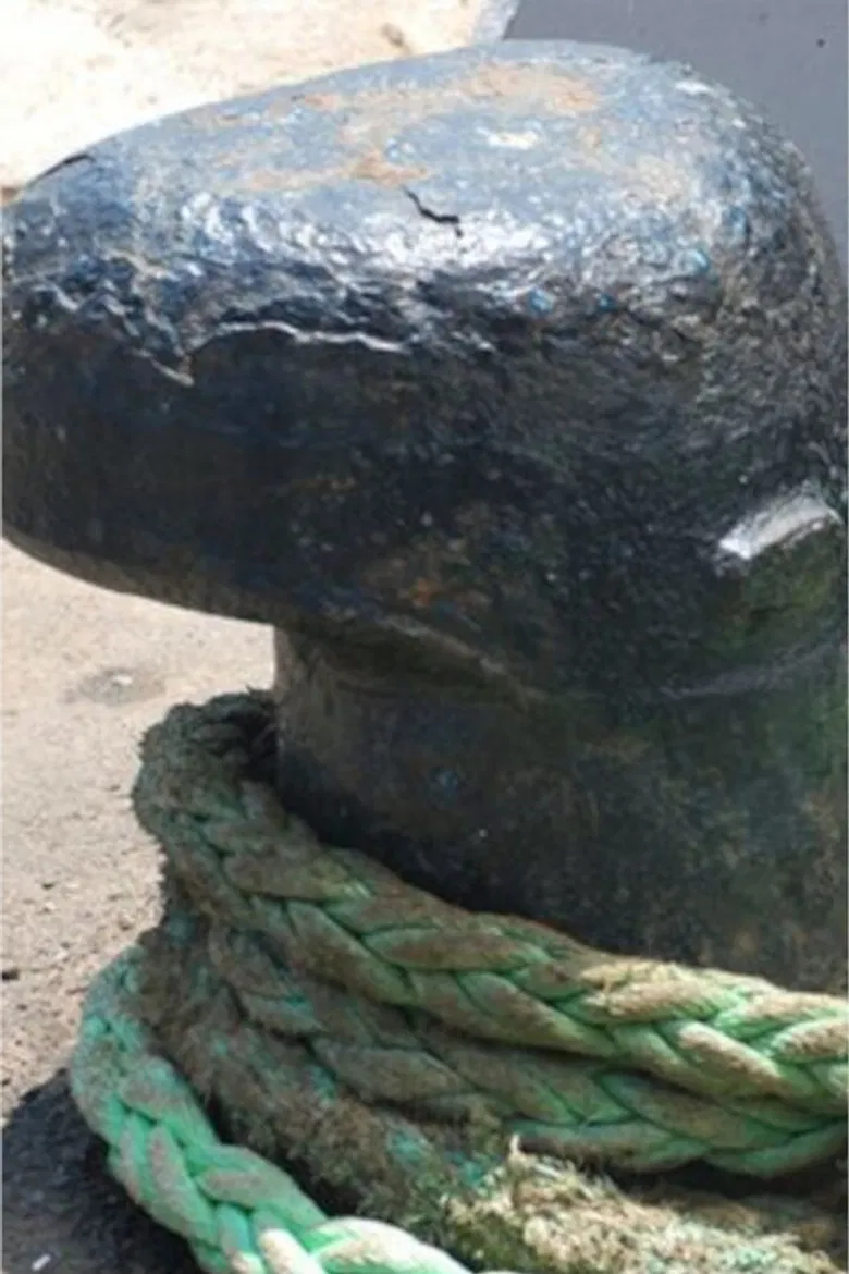 three nooses poster background