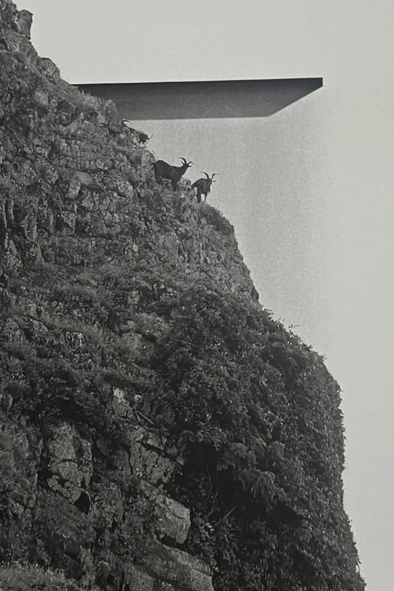 Orchid Island poster background