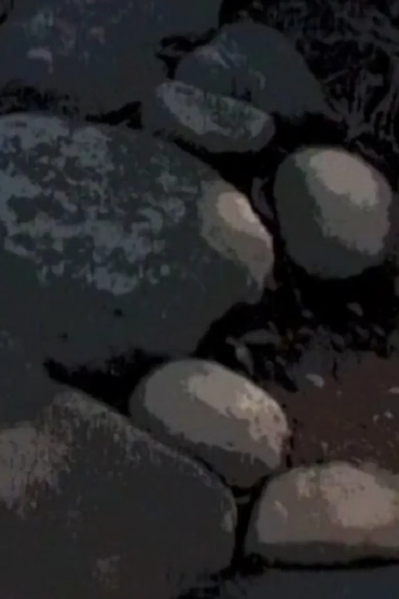 A Walk Through Waseda Garden poster background