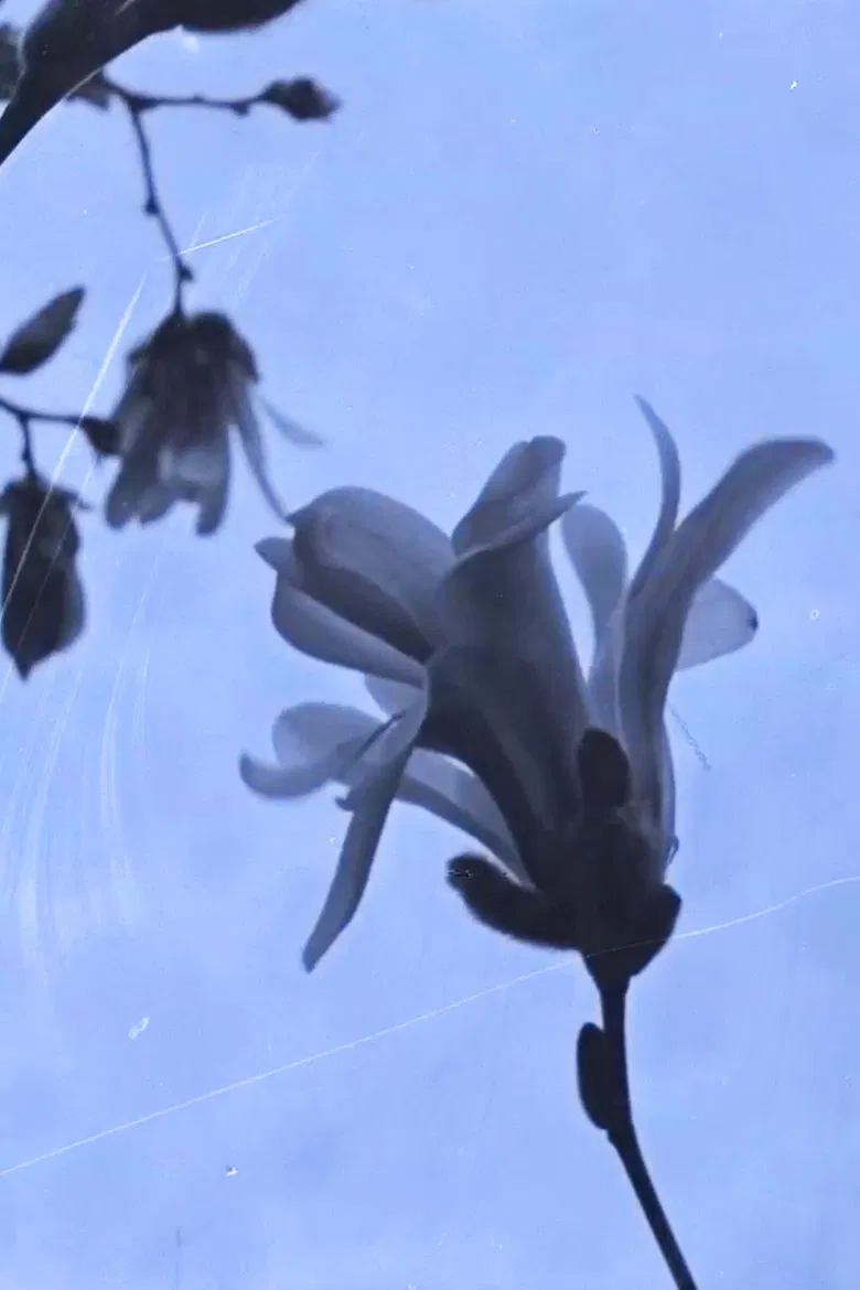 Ending 2 poster background