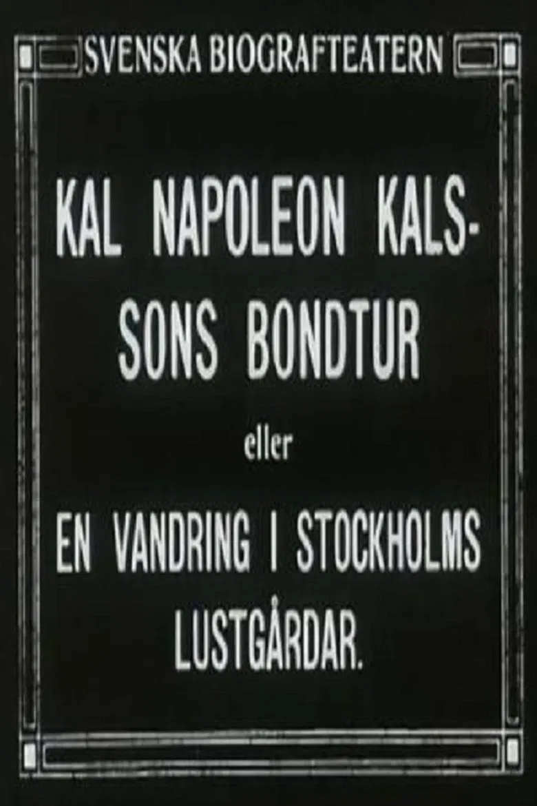 Kal Napoleon Kalsson's Farm Ride poster background