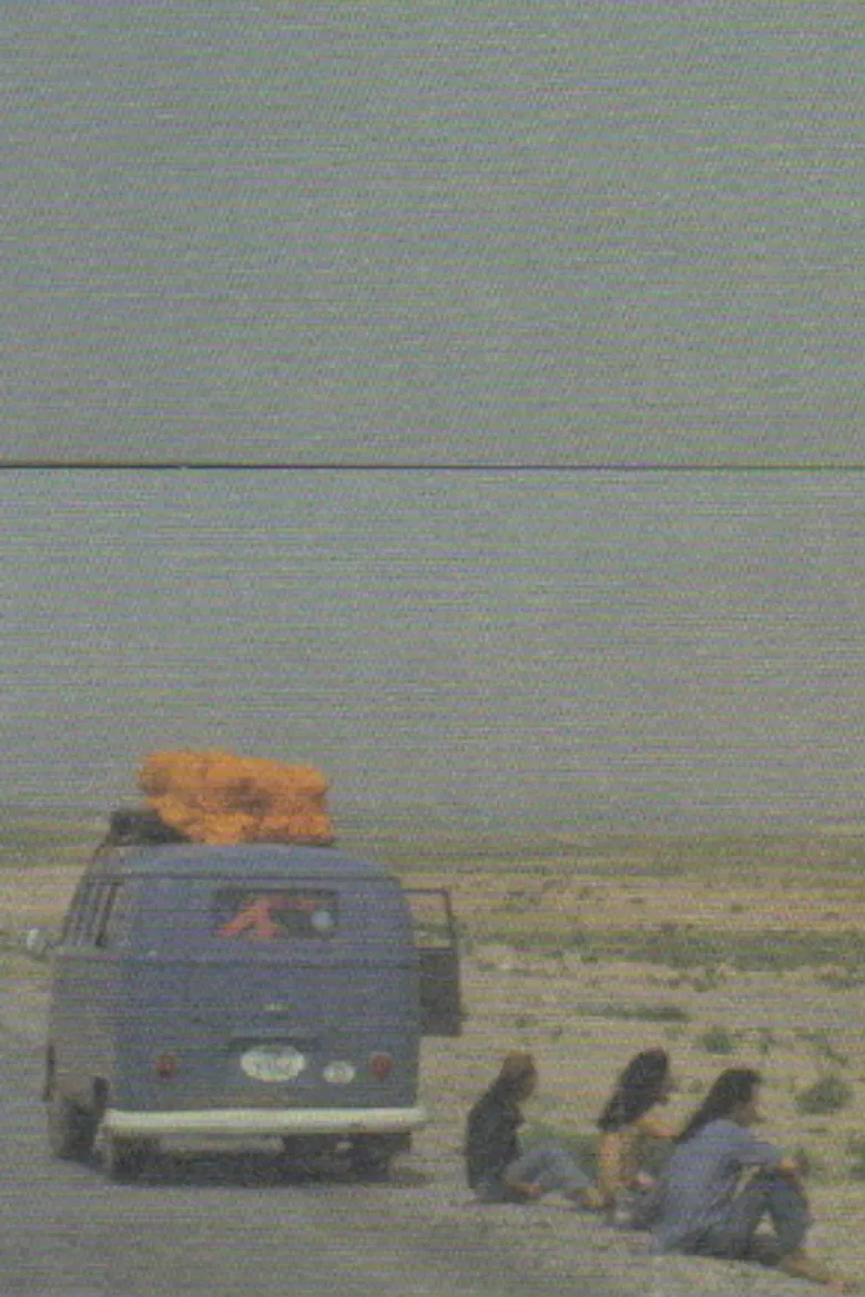 The Taj Mahal Travelers: About the Journey poster background