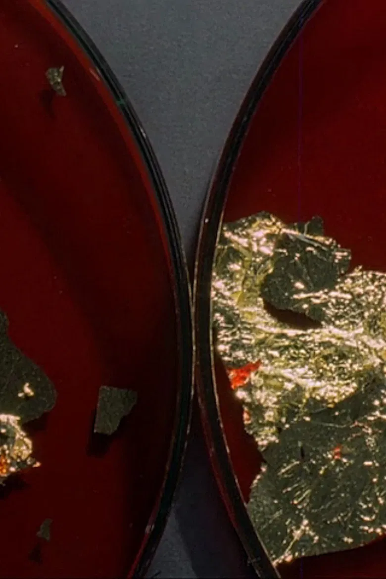 Approach/Withdraw poster background