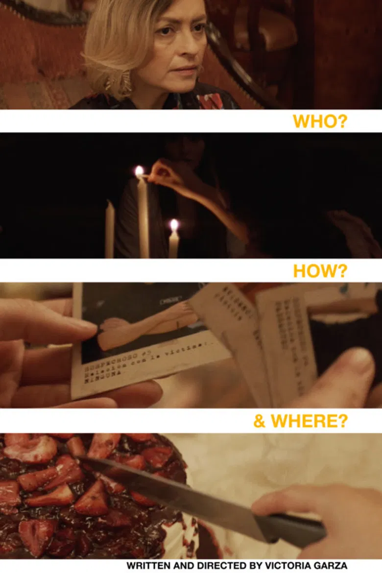 Who? How? And Where? poster background