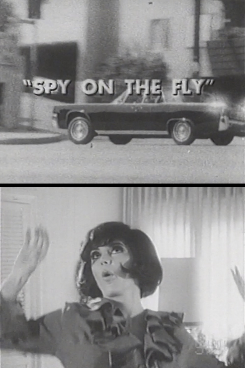 Spy on the Fly poster background