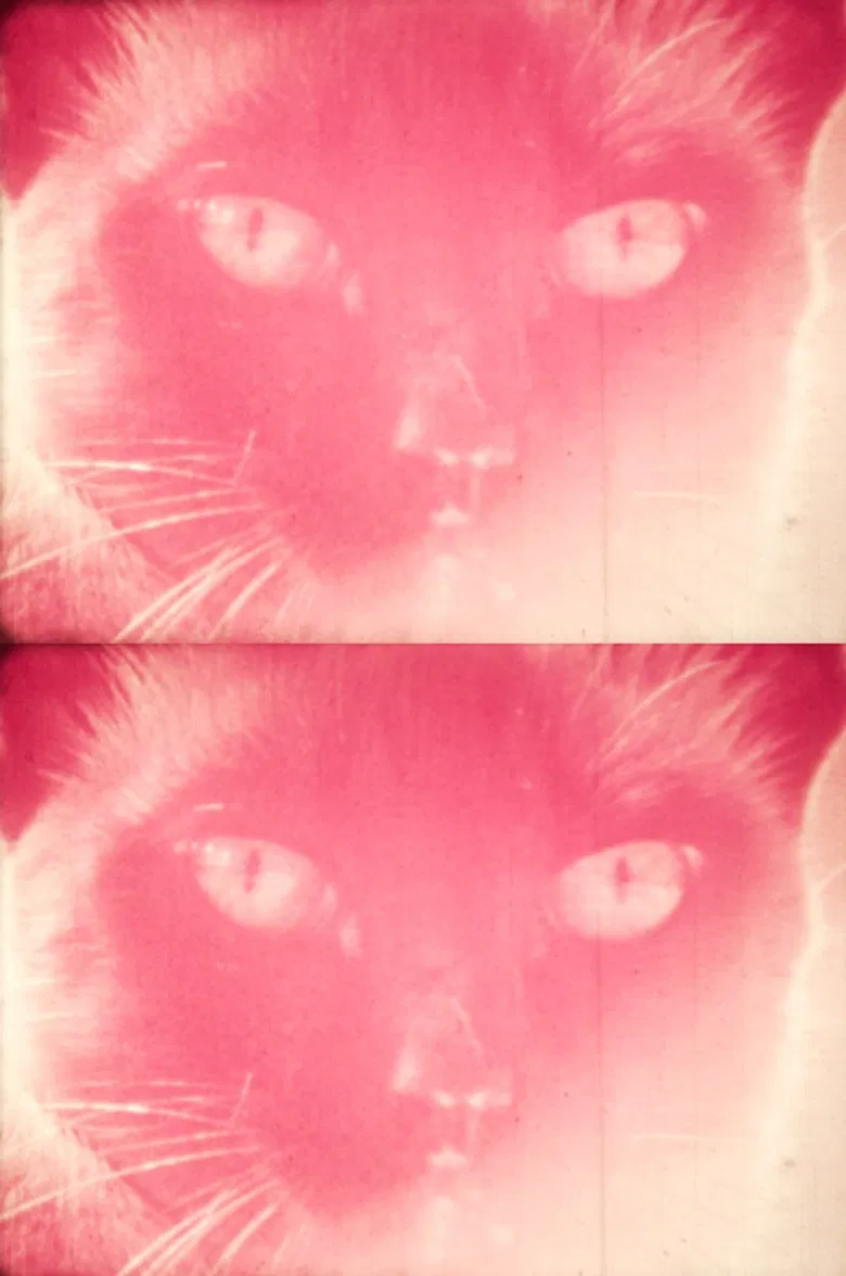 Priscilla's Dream poster background