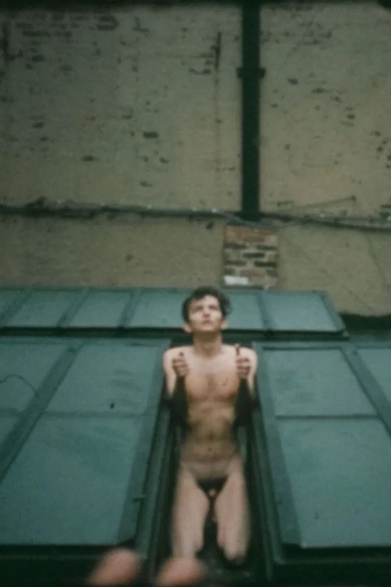 Spiracle poster background