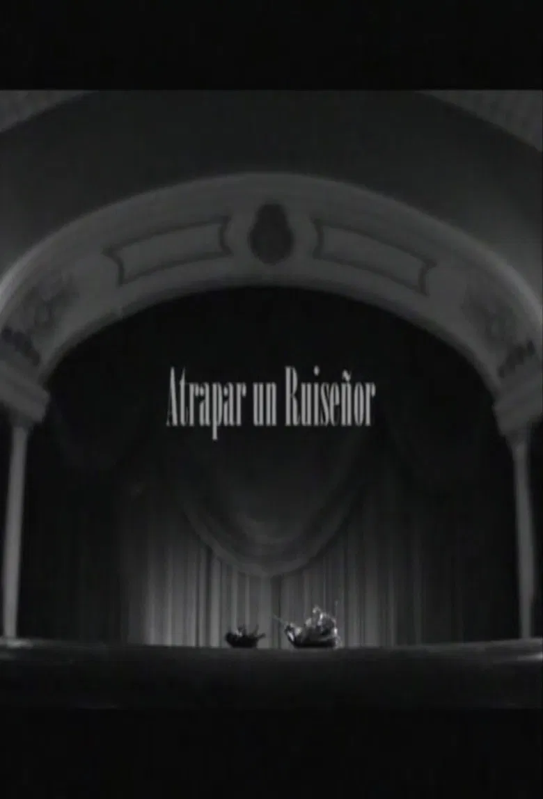 Atrapar un ruiseñor poster background