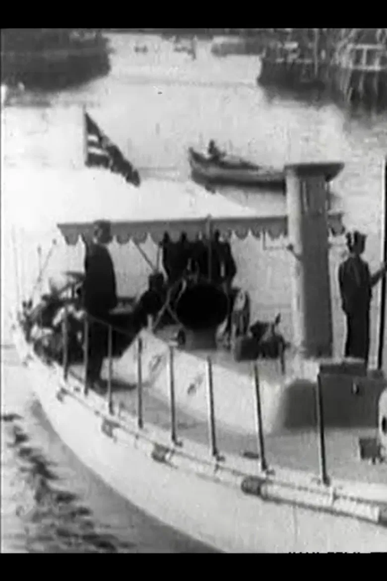 Kong Haakons og Dronning Mauds Besøg i Danmark poster background