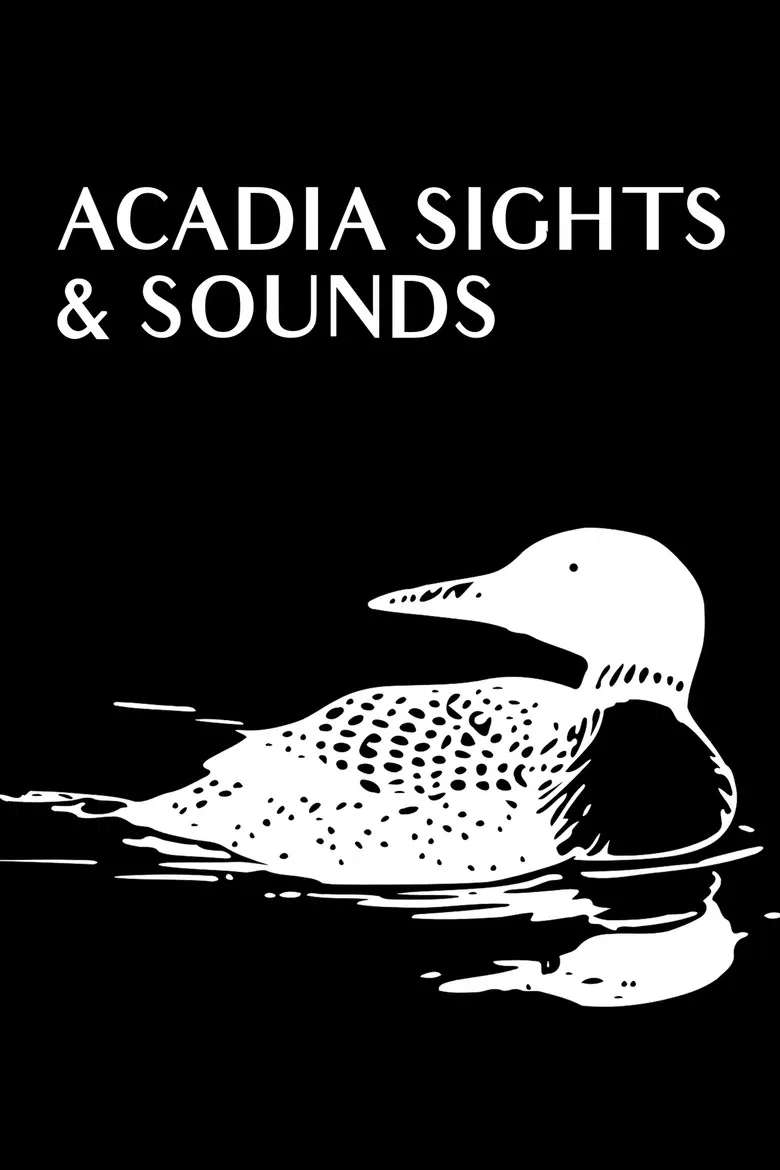 Acadia Sights & Sounds poster background