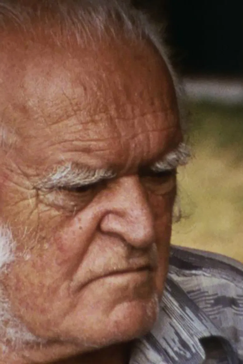 Mario Merz poster background