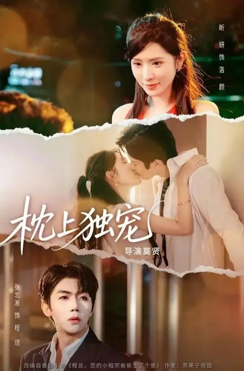 枕上独宠 poster background